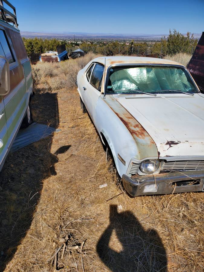 Chevy-nova-1968-white-6