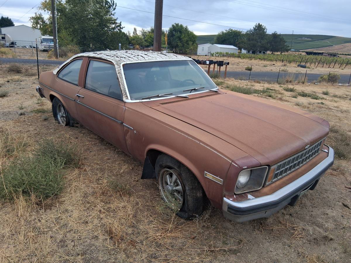 Chevy-nova-2-dr.-hatchback-v8-1976-red-1