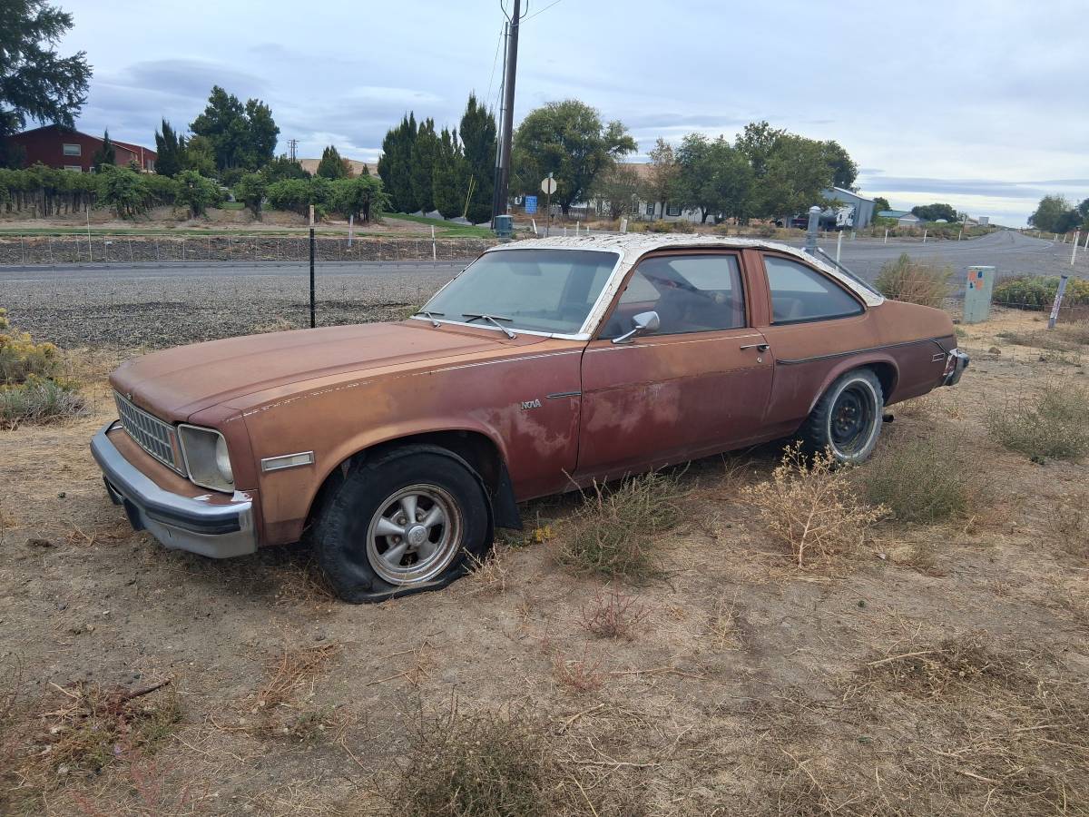 Chevy-nova-2-dr.-hatchback-v8-1976-red-3