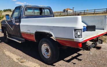 Chevy-pickup-1984-1