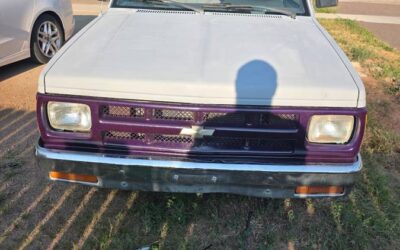 Chevy s10 1991