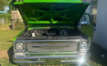 Chevy-s10-longbed-1979-green-1