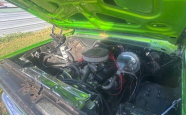 Chevy-s10-longbed-1979-green-2
