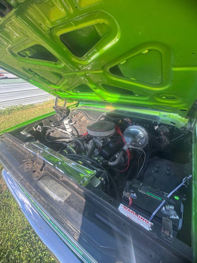 Chevy-s10-longbed-1979-green-2