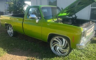 Chevy-s10-longbed-1979-green