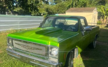 Chevy-s10-longbed-1979-green-4