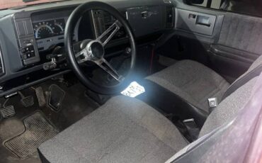 Chevy-s10-pickup-1991-18