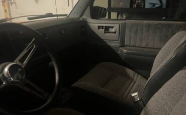 Chevy-s10-pickup-1991-19
