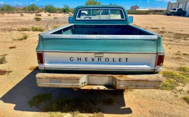 Chevy-scottsdale-c20-1978-3