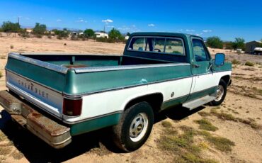 Chevy-scottsdale-c20-1978-4