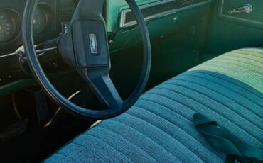 Chevy-scottsdale-c20-1978-6