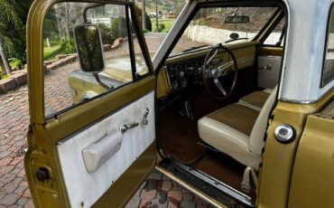 Chevy-shortbed-1968-brown-13