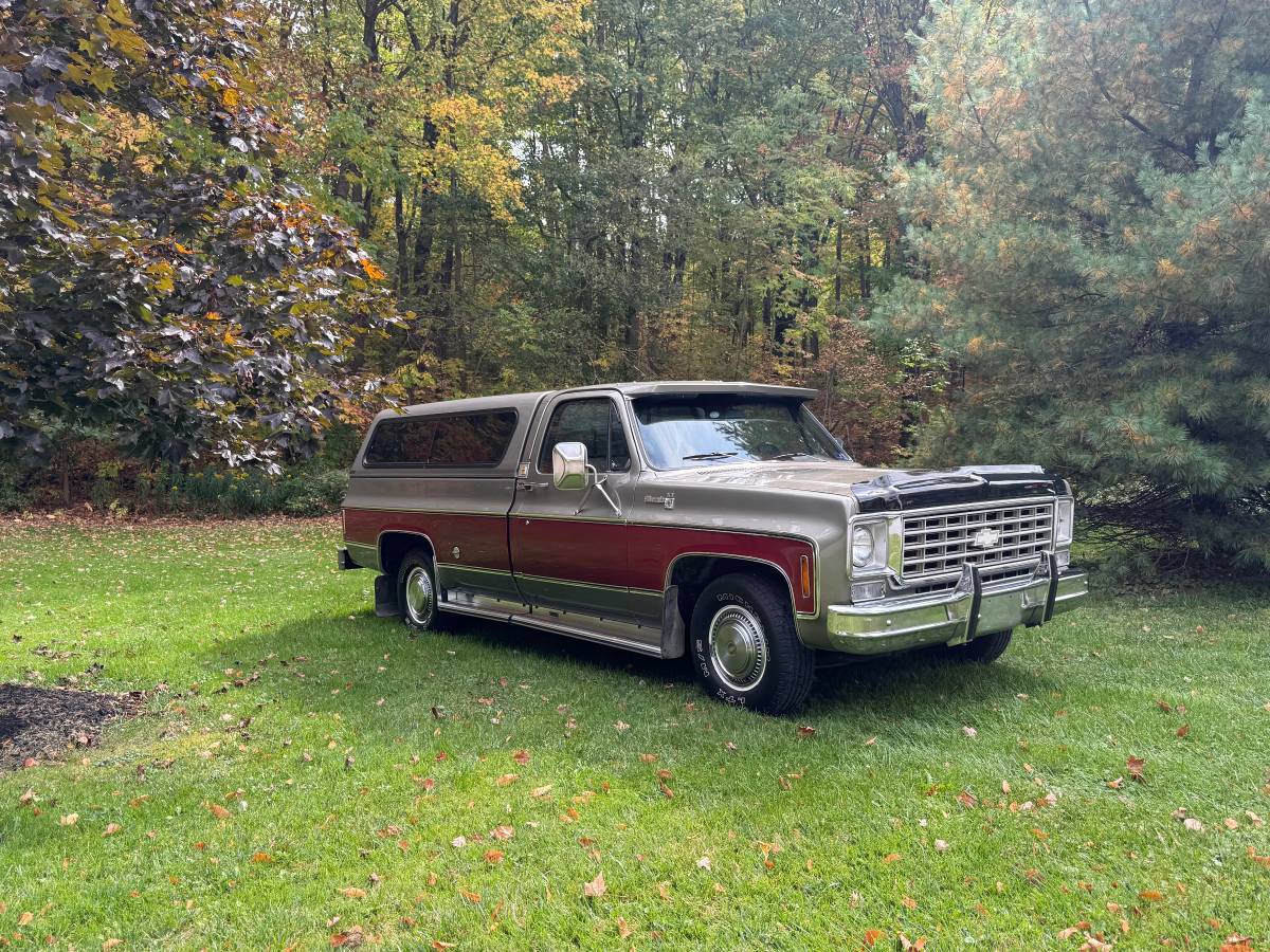 Chevy-silverado-1500-1976-10