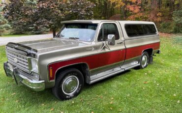 Chevy-silverado-1500-1976-11
