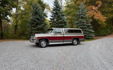 Chevy-silverado-1500-1976-15