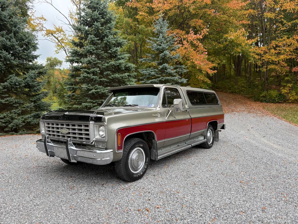 Chevy-silverado-1500-1976-16