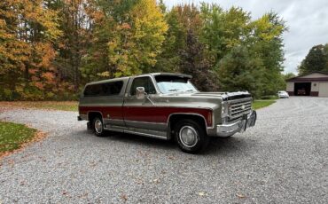 Chevy-silverado-1500-1976-18