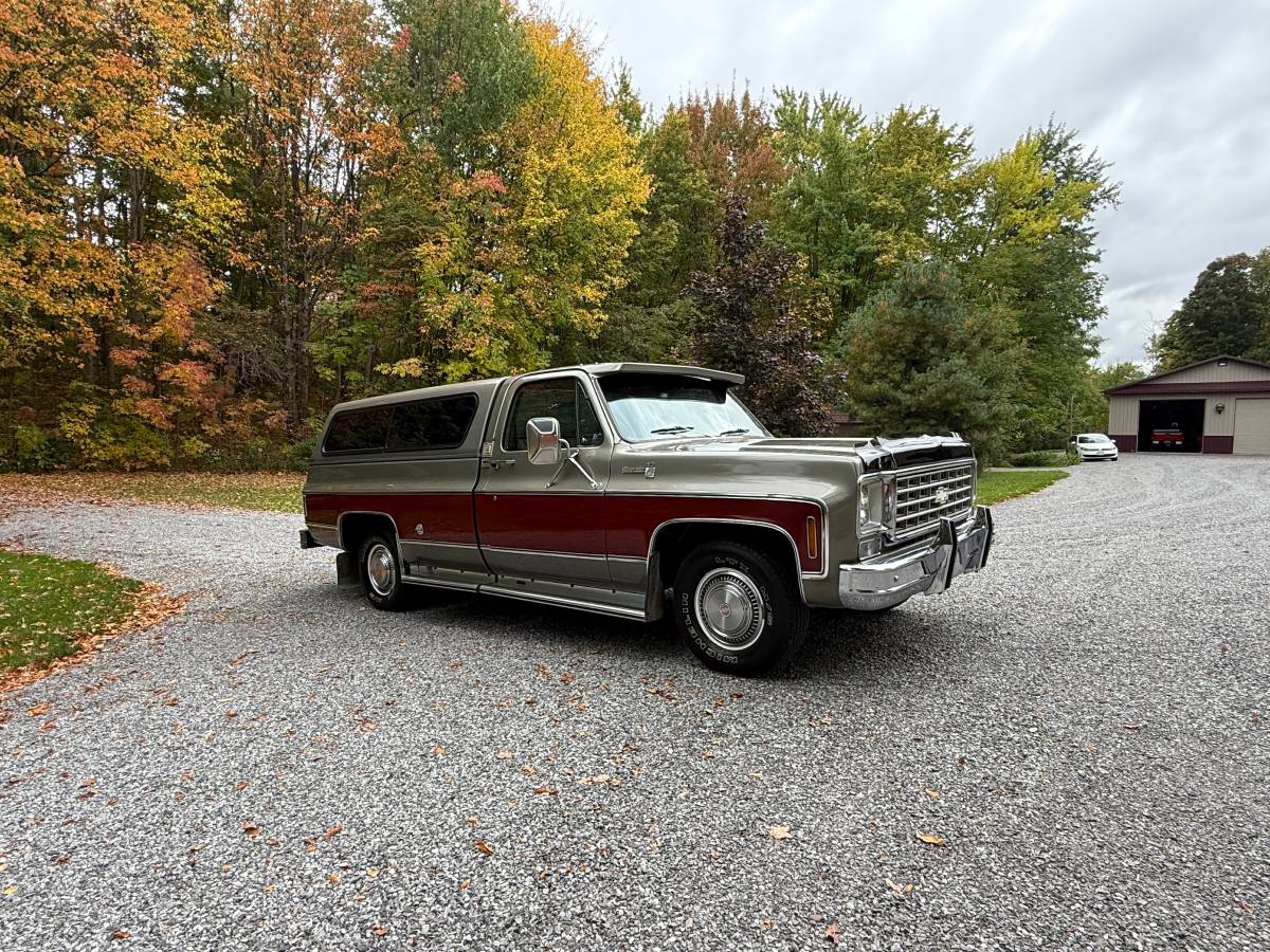 Chevy-silverado-1500-1976-18