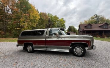 Chevy-silverado-1500-1976-19