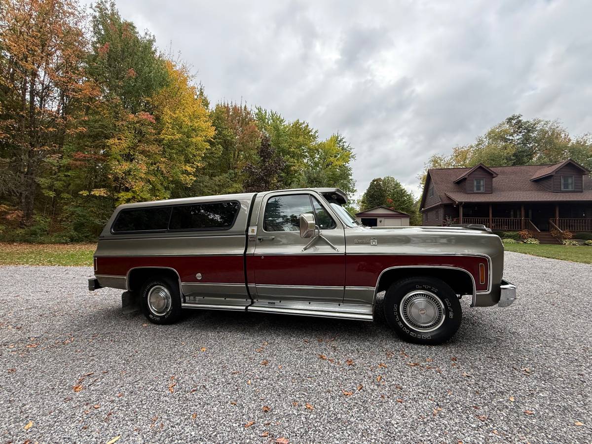 Chevy-silverado-1500-1976-19