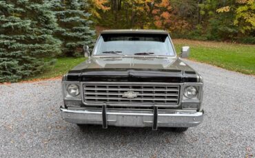 Chevy-silverado-1500-1976-20