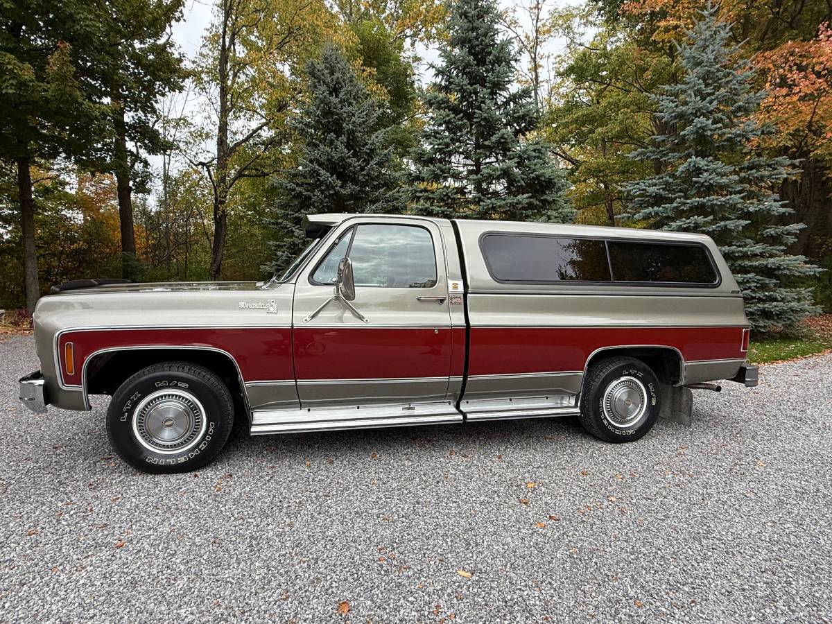 Chevy-silverado-1500-1976-3