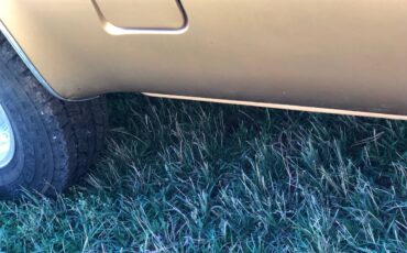 Chevy-silverado-1500-1984-brown-10