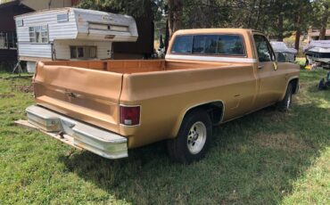 Chevy-silverado-1500-1984-brown-3