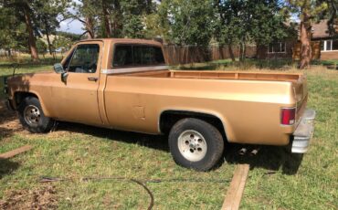 Chevy-silverado-1500-1984-brown-4