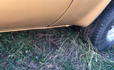 Chevy-silverado-1500-1984-brown-9