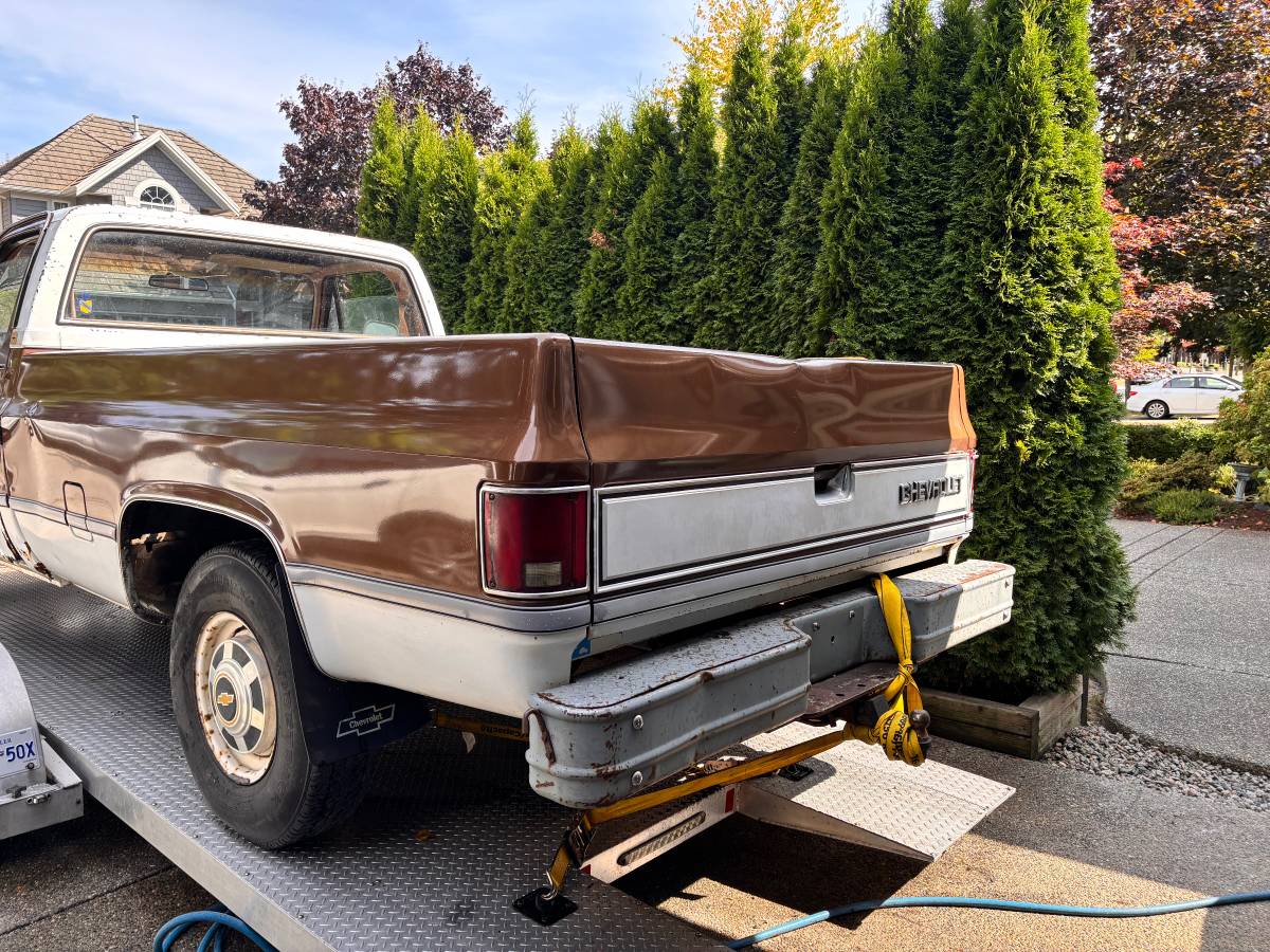 Chevy-silverado-2500-1981-1