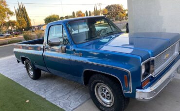 Chevy-silverado-c20-1974-3