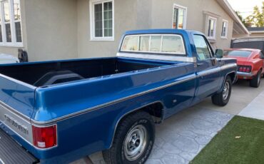 Chevy-silverado-c20-1974-5