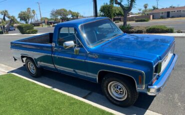 Chevy-silverado-c20-1974-7