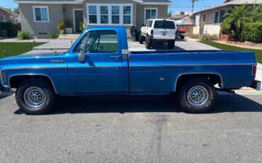 Chevy-silverado-c20-1974-8