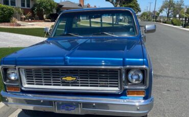 Chevy-silverado-c20-1974-9