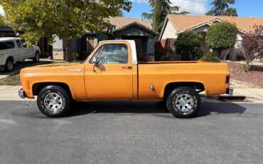 Chevy-silverado-custom-deluxe-1974-10