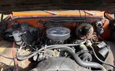 Chevy-silverado-custom-deluxe-1974-11