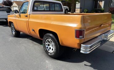 Chevy-silverado-custom-deluxe-1974-2