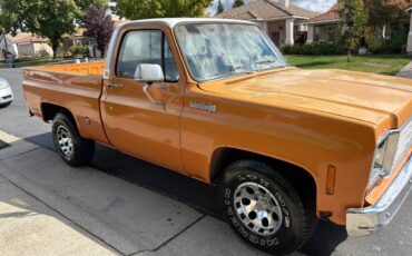 Chevy-silverado-custom-deluxe-1974-3