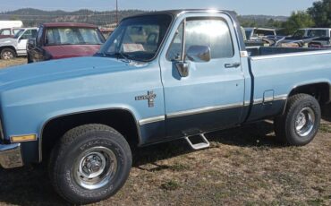 Chevy-silverado-swb-diesel-1983-blue-7