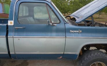 Chevy-truck-1974-11