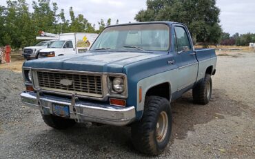 Chevy-truck-1974-12