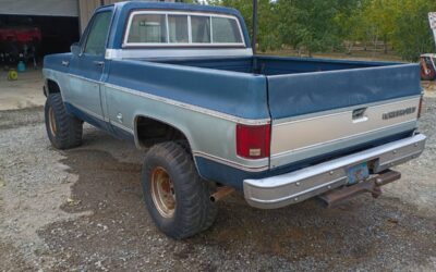 Chevy truck 1974