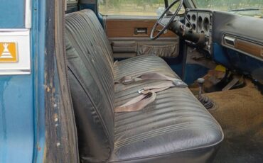 Chevy-truck-1974-5