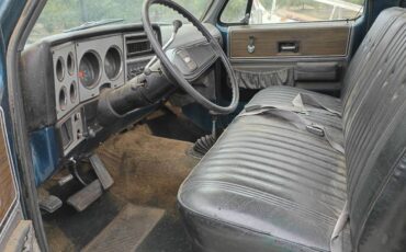 Chevy-truck-1974-7