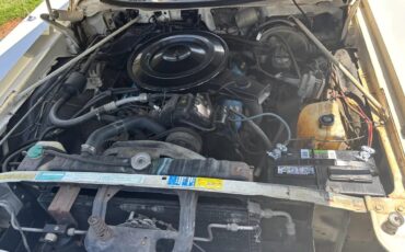 Chrysler-Newport-1973-White-White-14