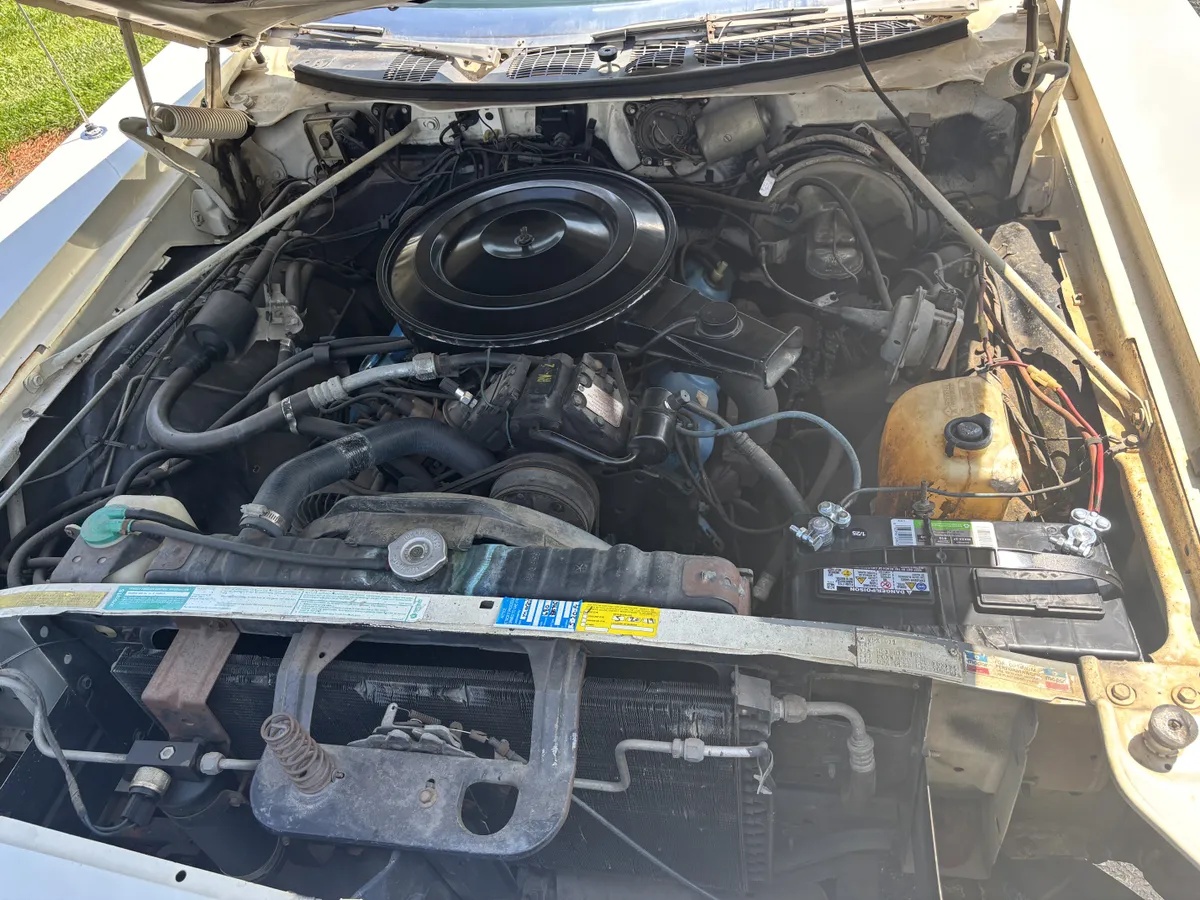 Chrysler-Newport-1973-White-White-14