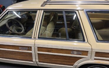 Chrysler-Town-Country-1985-3