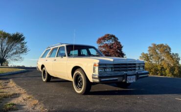 Chrysler-lebaron-town-and-country-1978-white-2